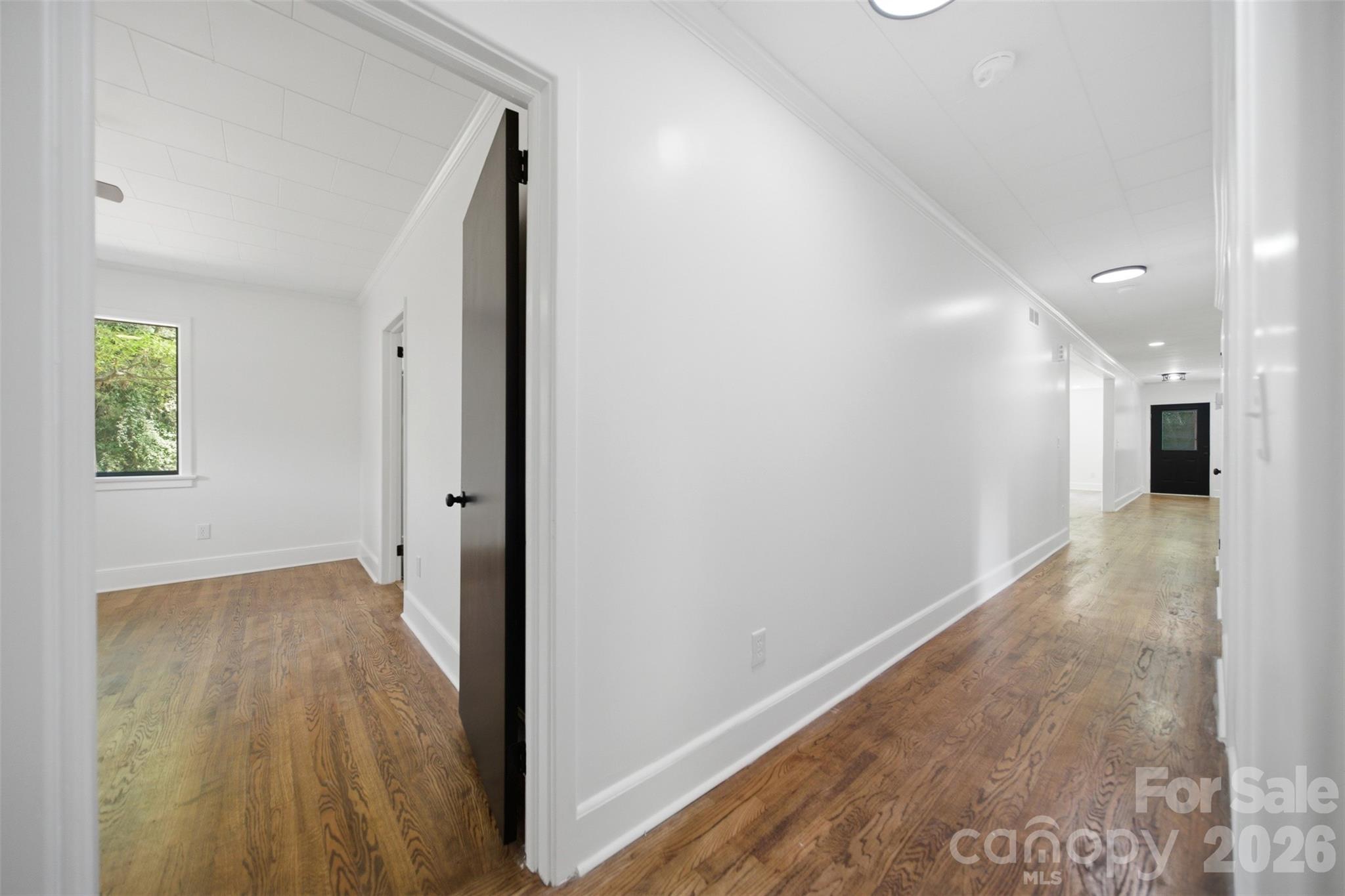 907 Amelia Street Property Photo 18