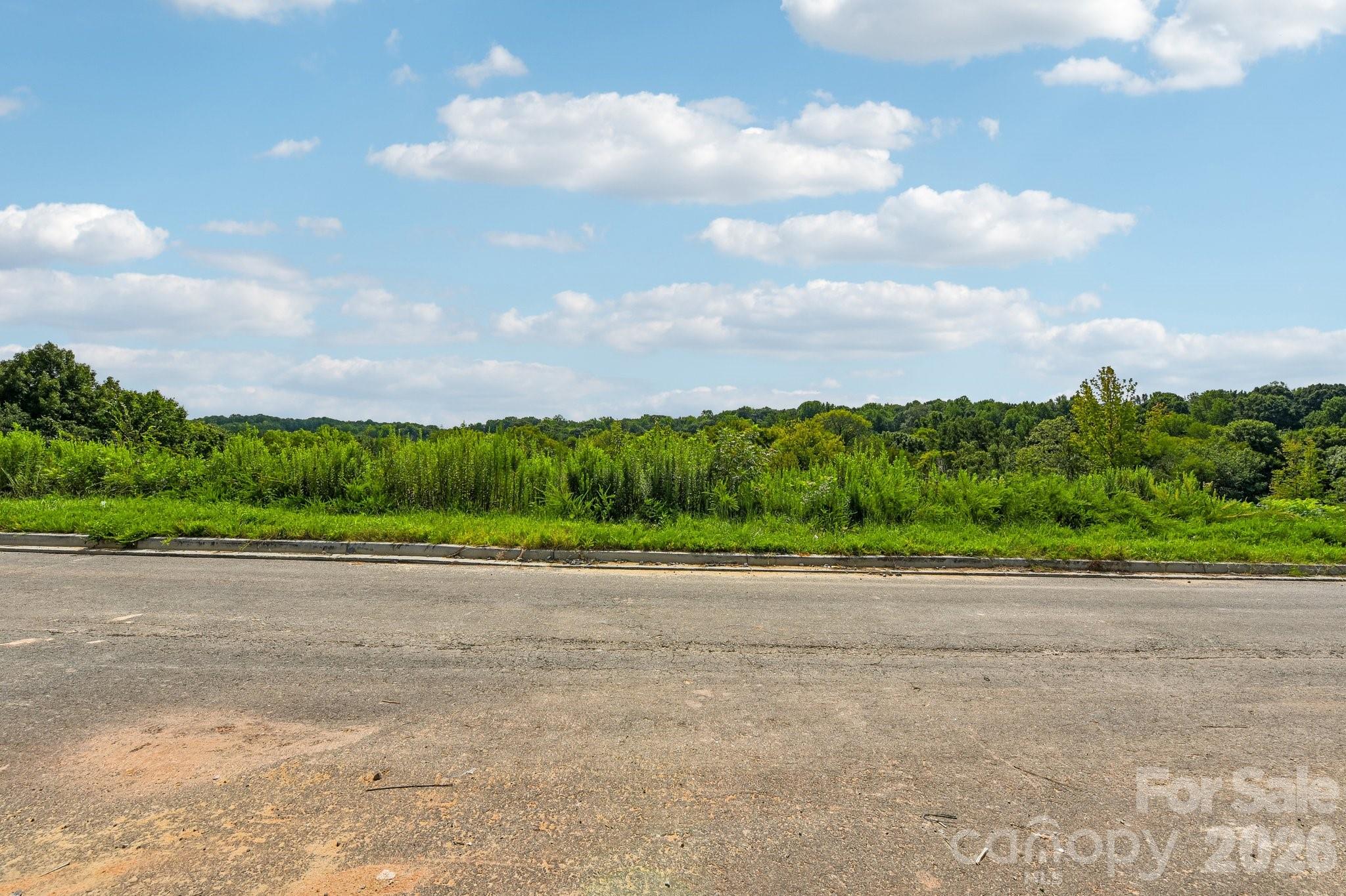 8687 Miles Gap Road Property Photo 28