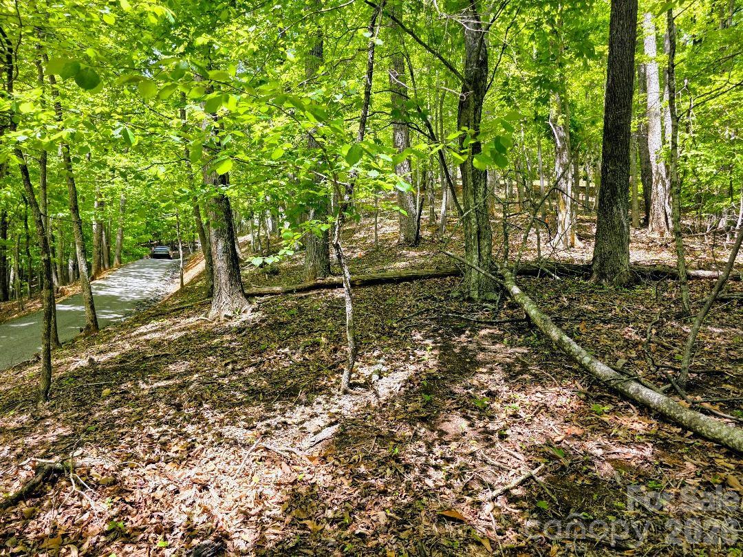 00 Hickory Springs Road 12 Property Photo 3