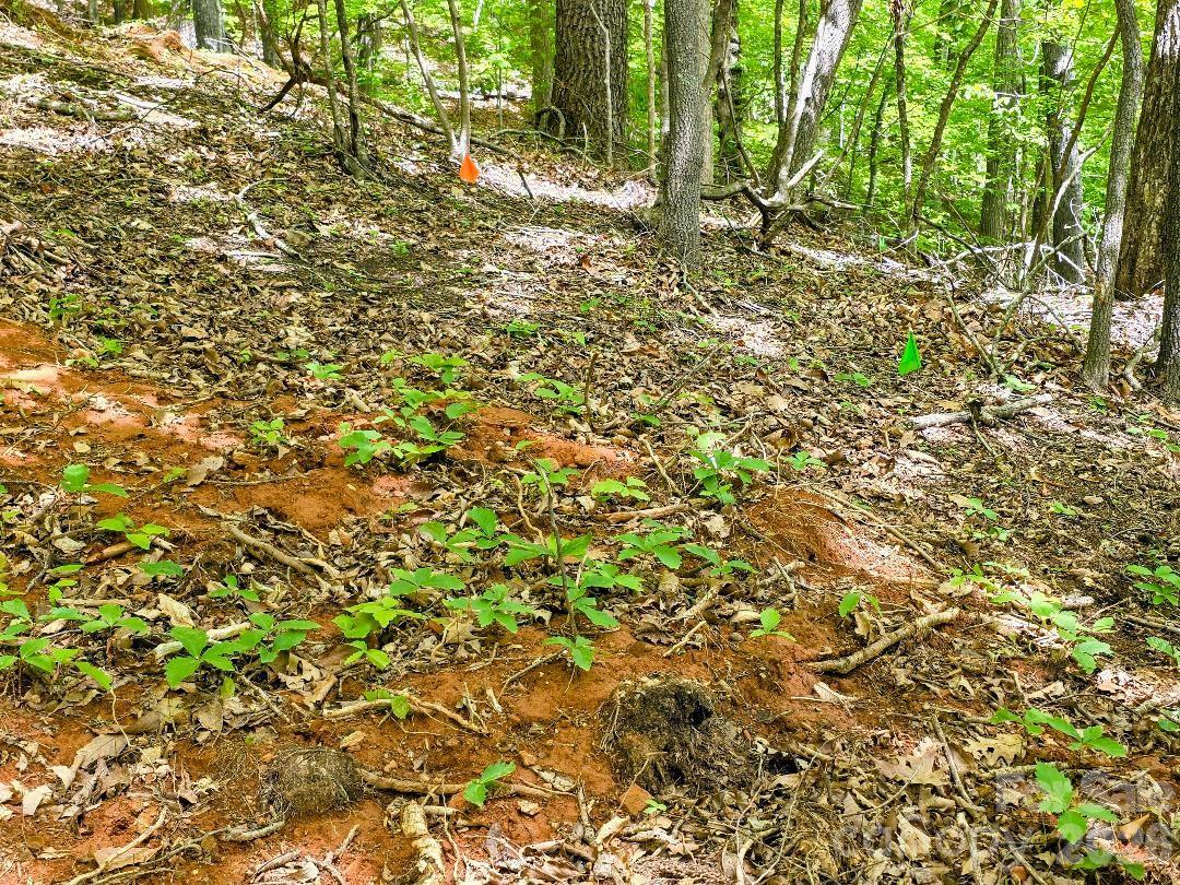 00 Hickory Springs Road 12 Property Photo 4