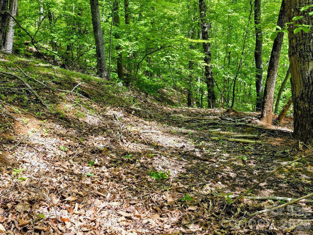 00 Hickory Springs Road 12 Property Photo 5