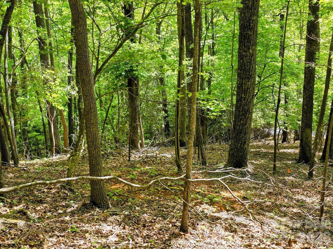 00 Hickory Springs Road 12 Property Photo 6