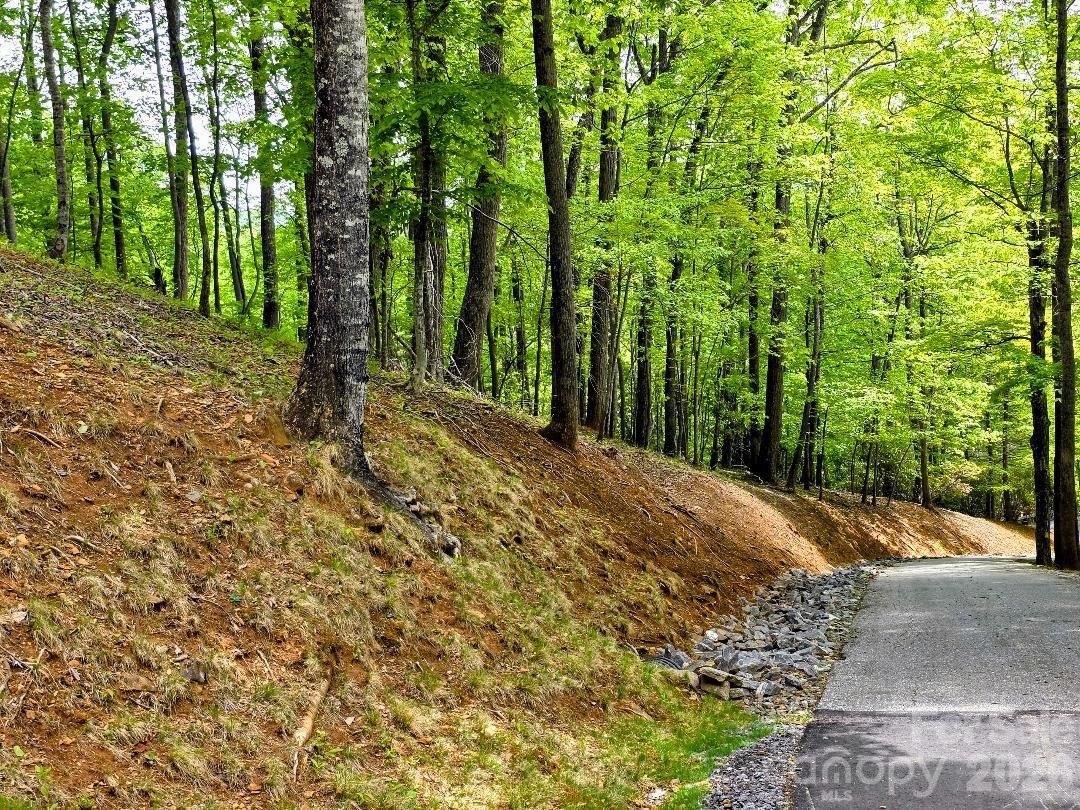 00 Hickory Springs Road 12 Property Photo 9