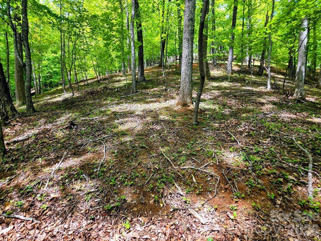 00 Hickory Springs Road 12 Property Photo 15