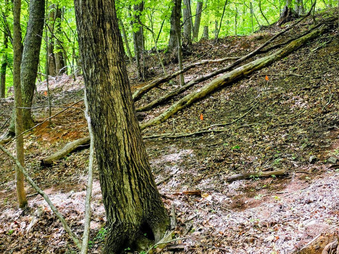 00 Hickory Springs Road 12 Property Photo 16