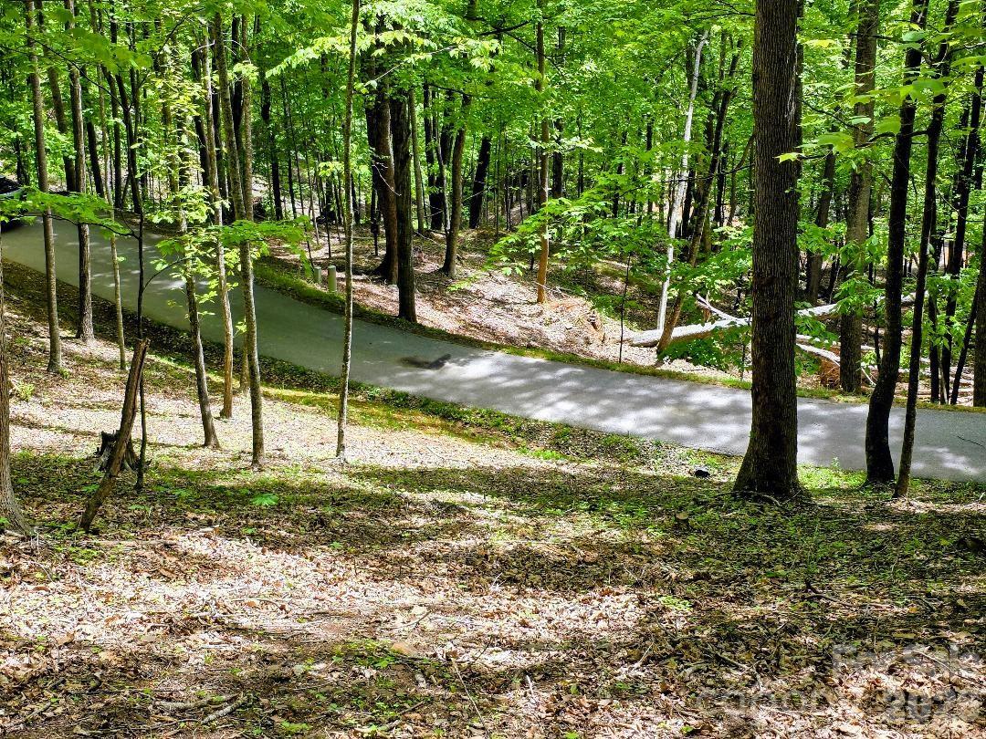 00 Hickory Springs Road 12 Property Photo 17
