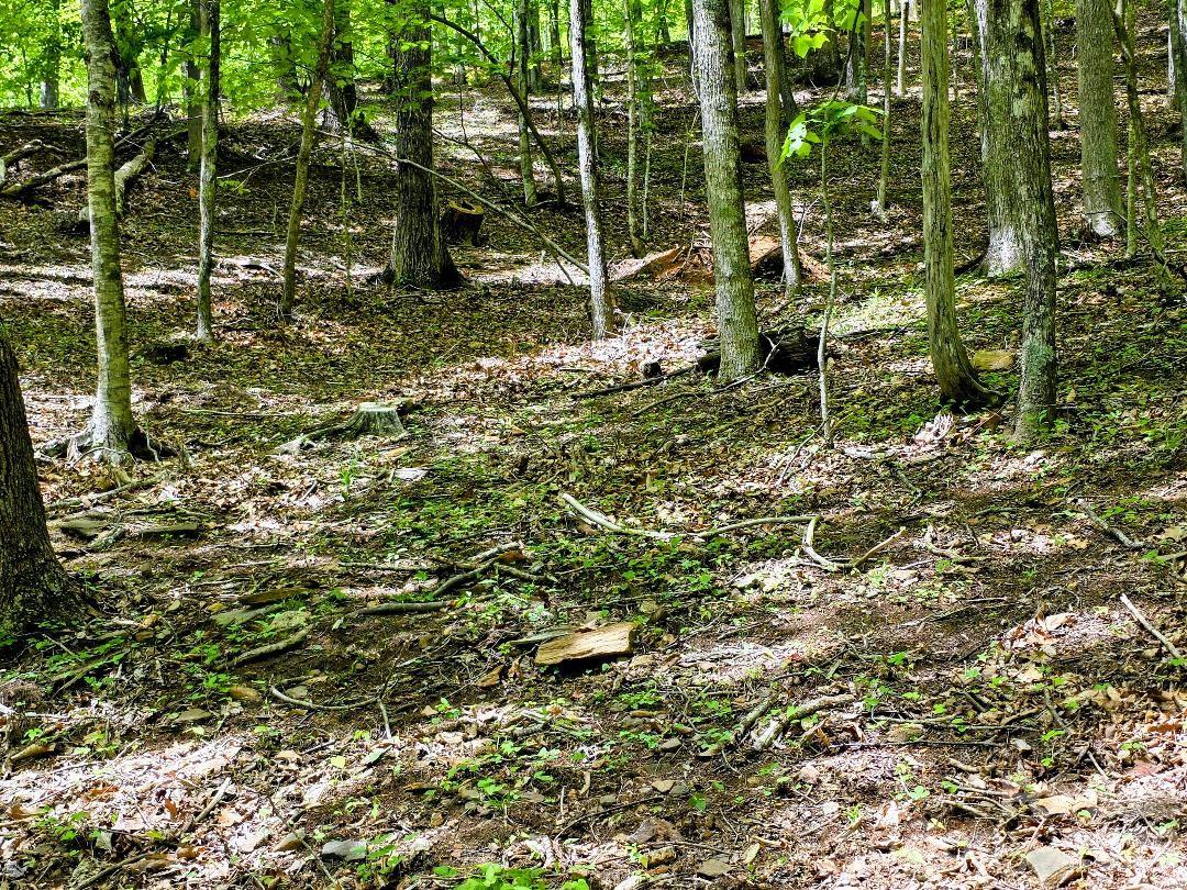 00 Hickory Springs Road 12 Property Photo 18