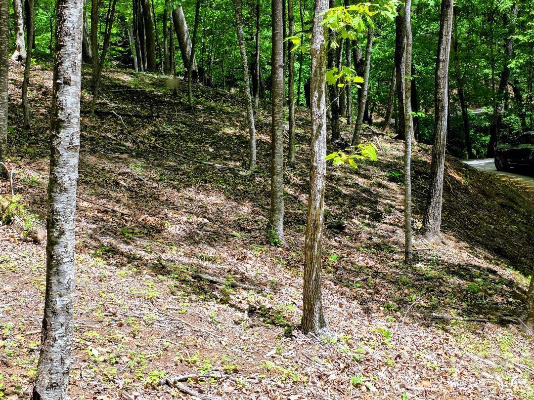 00 Hickory Springs Road 12 Property Photo 19