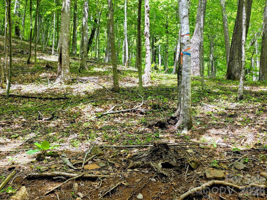 00 Hickory Springs Road 12 Property Photo 21