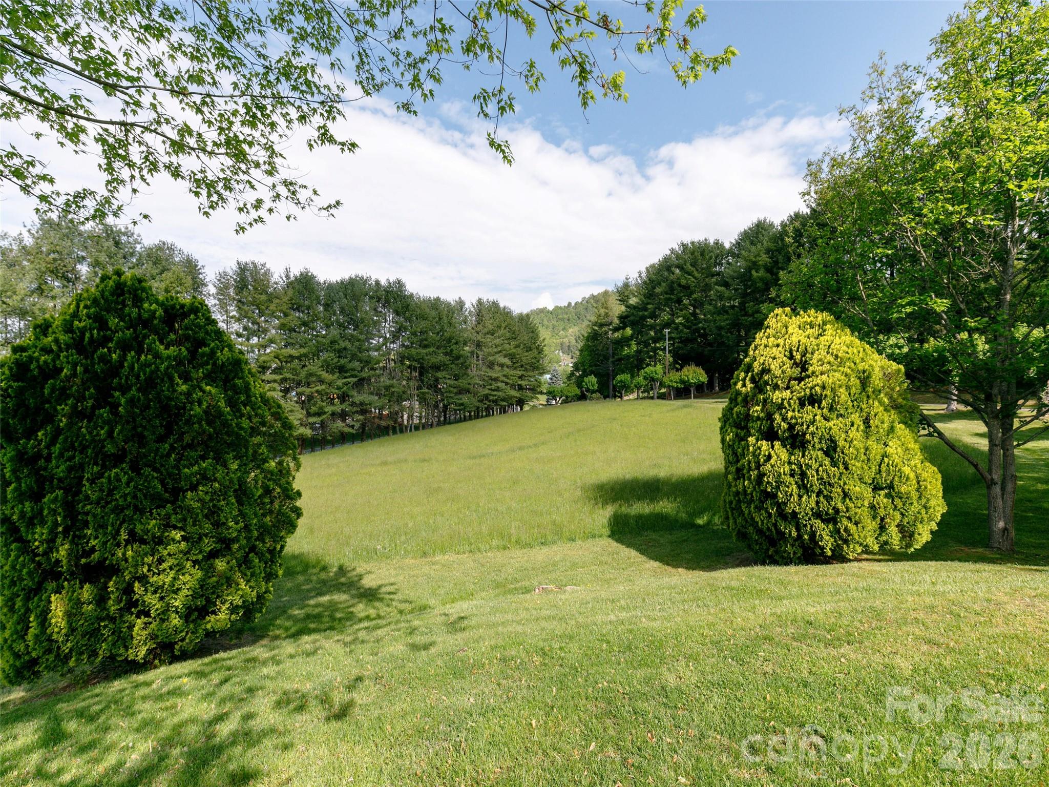110 Crest View Road Property Photo 34