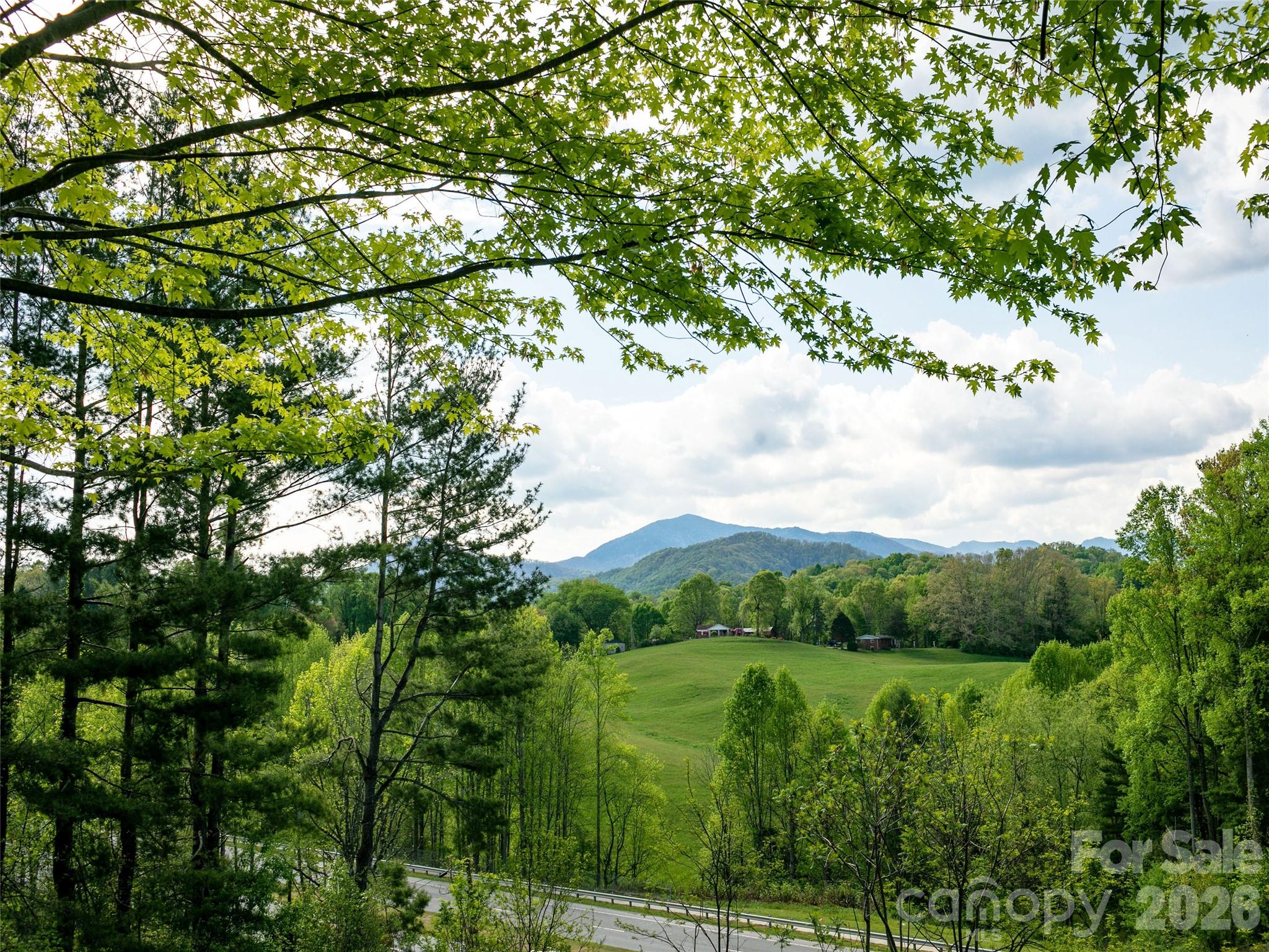 110 Crest View Road Property Photo 40