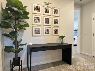9139 Widden Way Property Photo 18