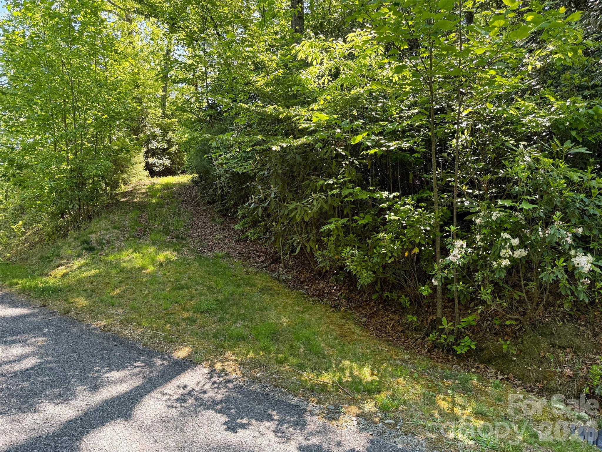 10c Reserve Road Property Photo 4