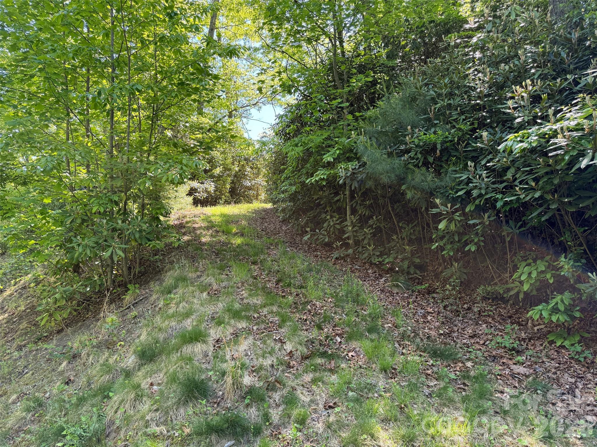 10c Reserve Road Property Photo 5