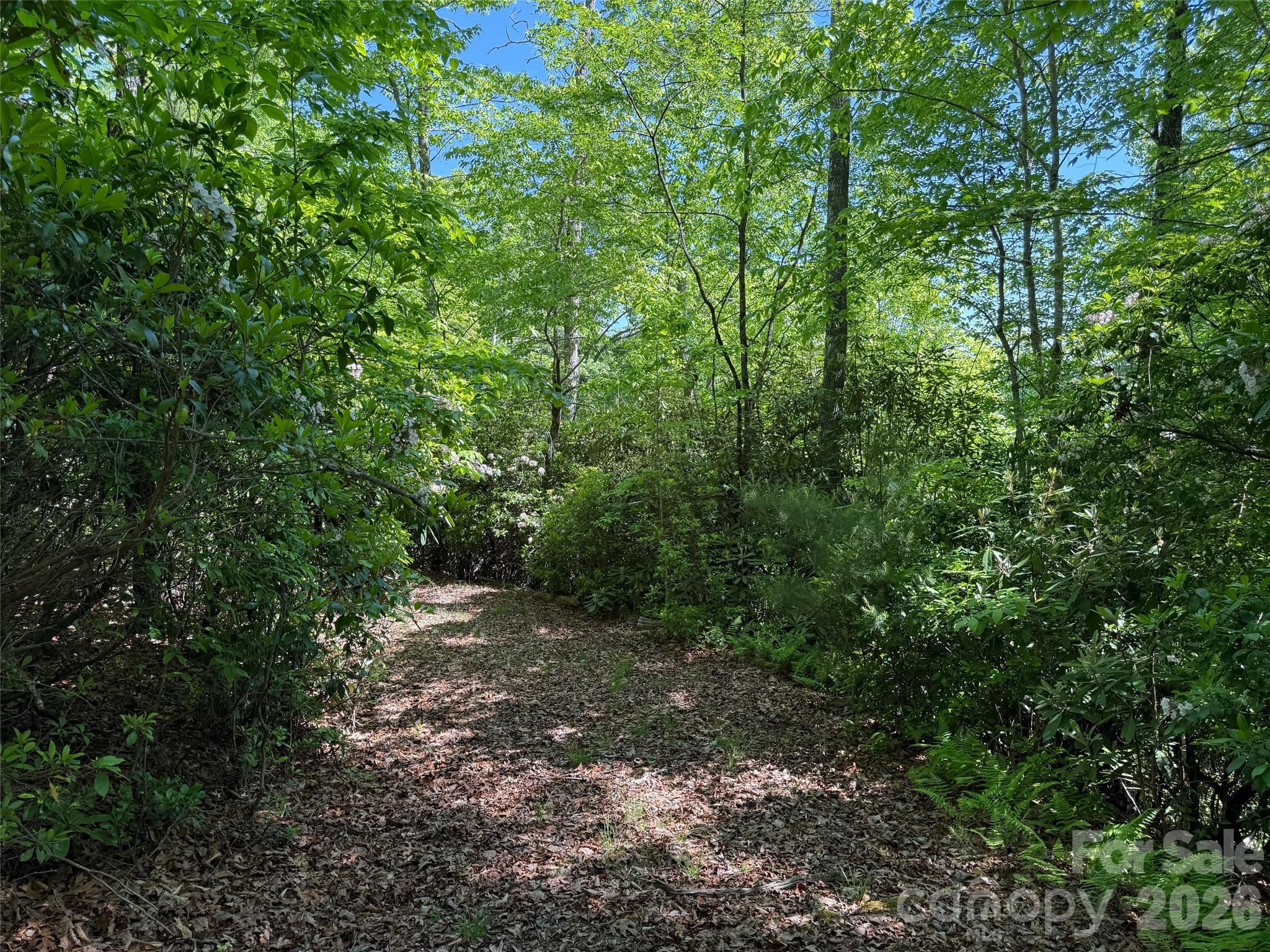 10c Reserve Road Property Photo 10