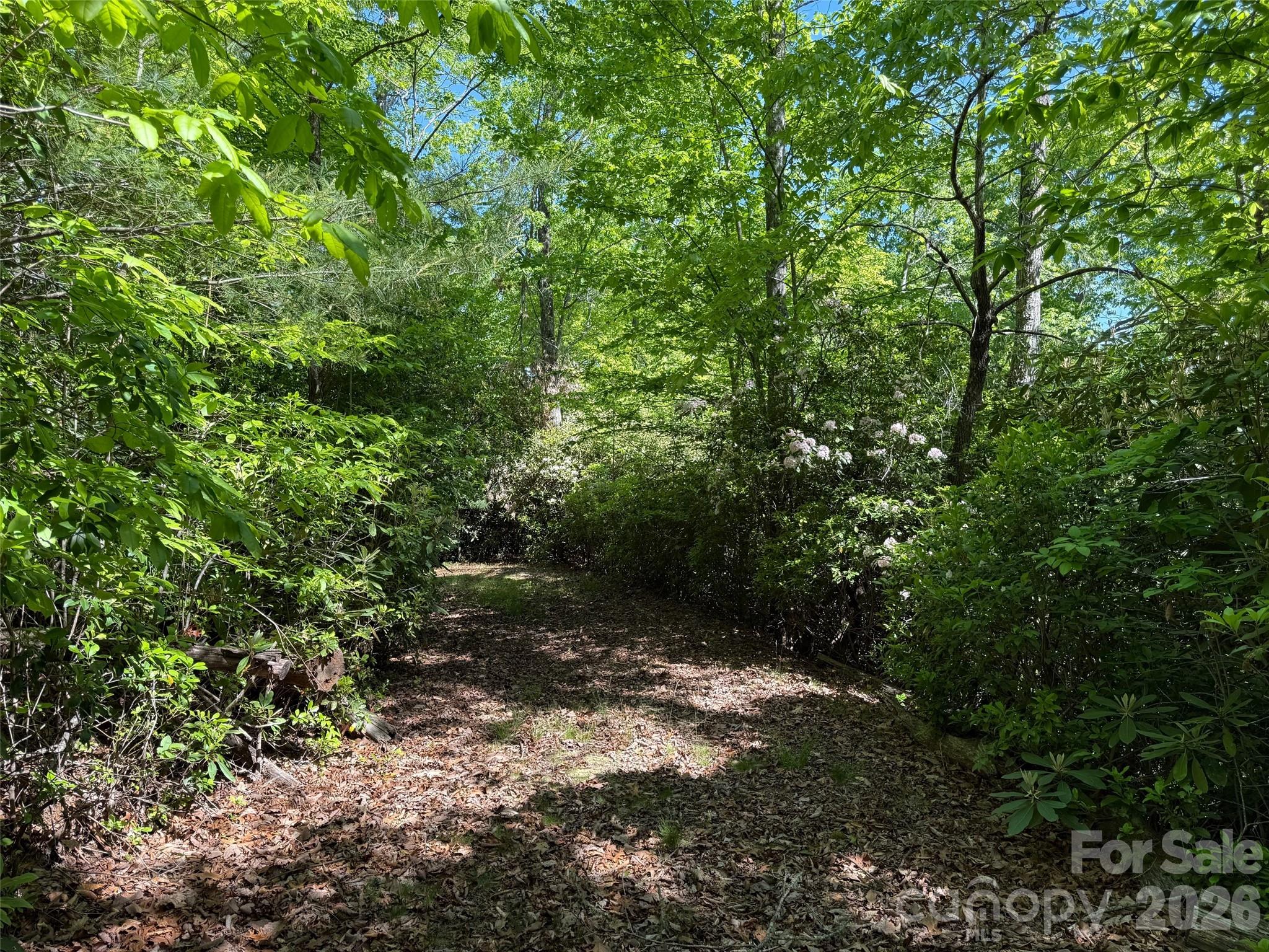 10c Reserve Road Property Photo 11