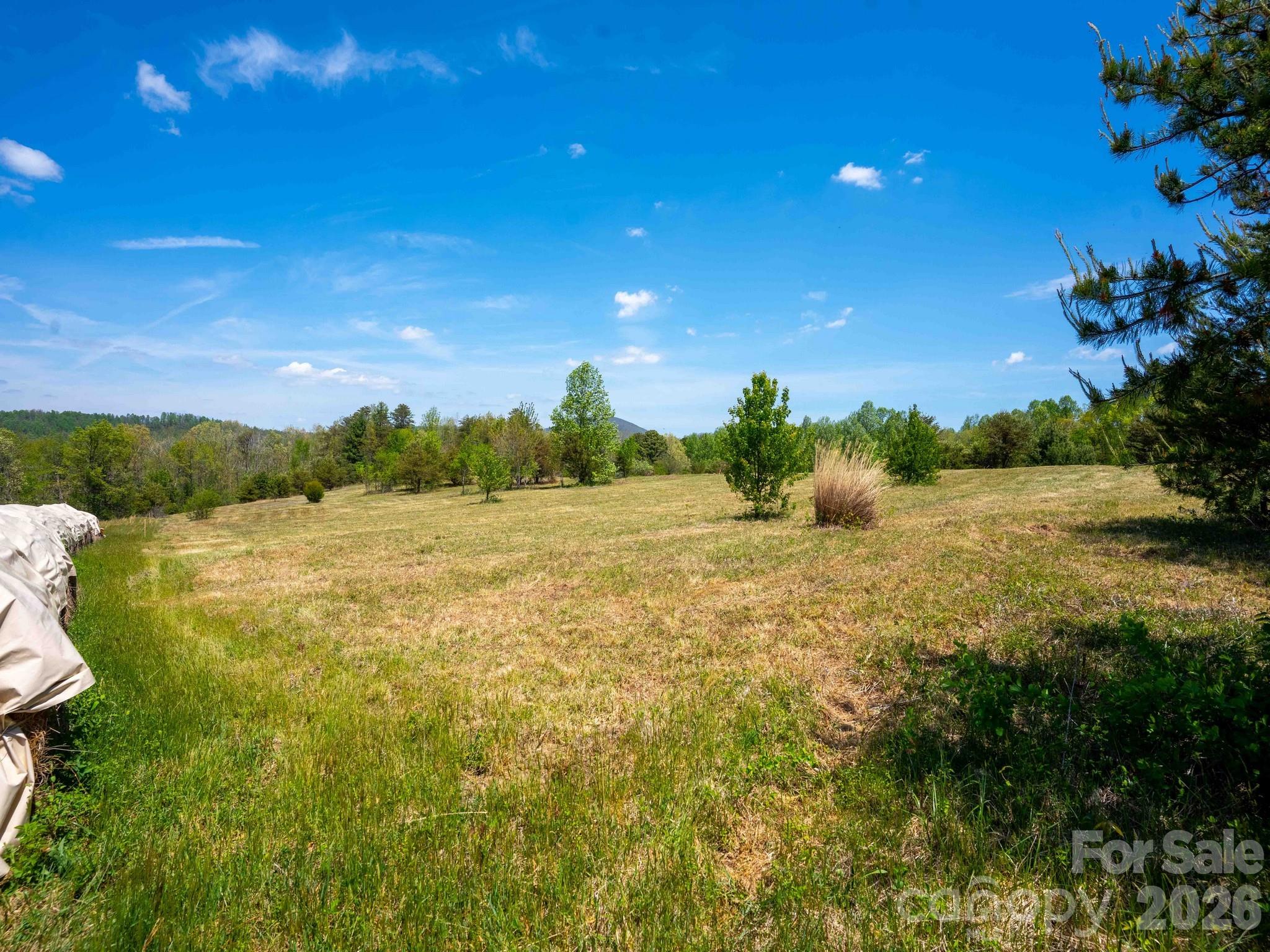 3670 Summer Road Property Photo 3