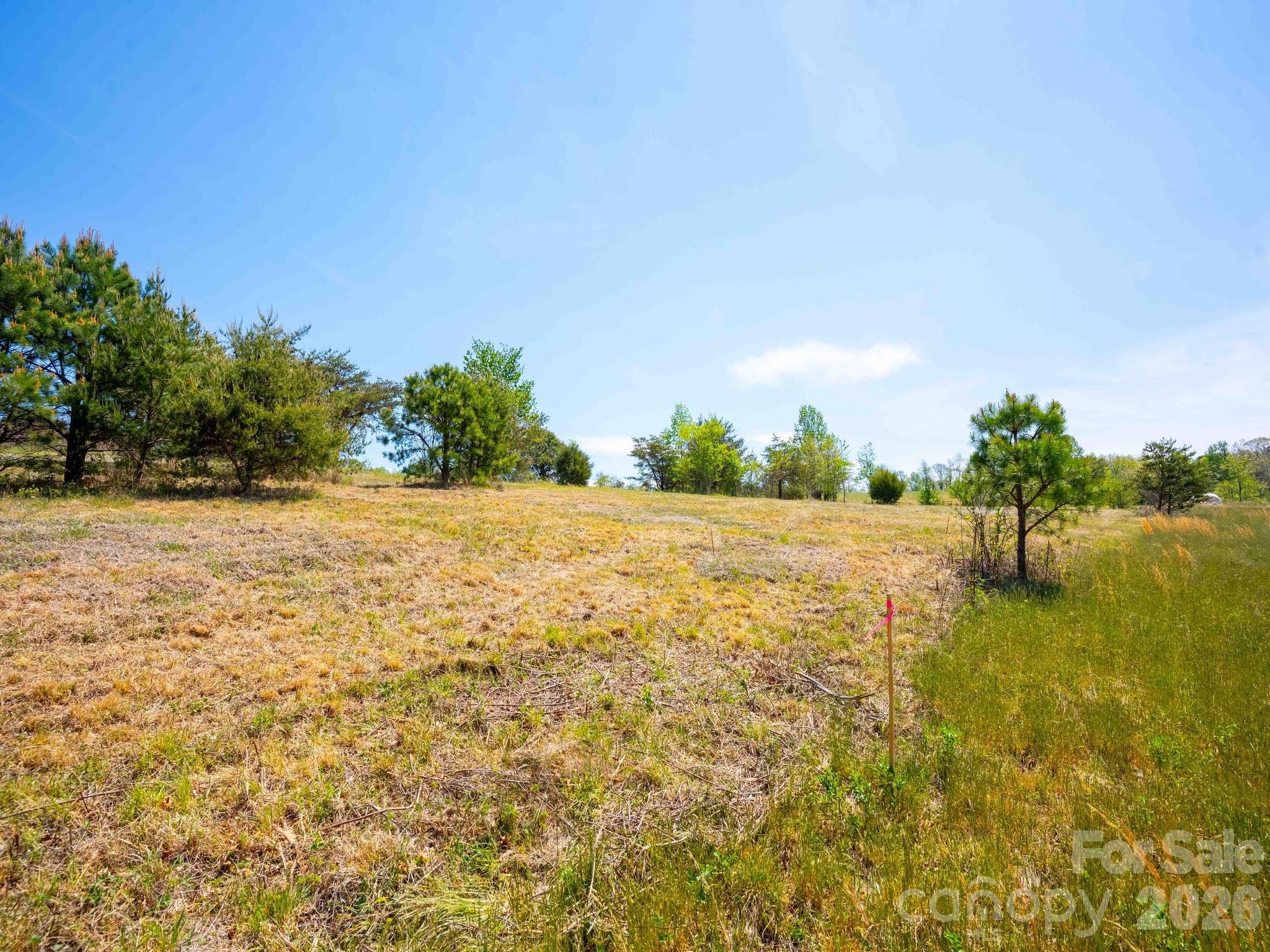 3670 Summer Road Property Photo 6