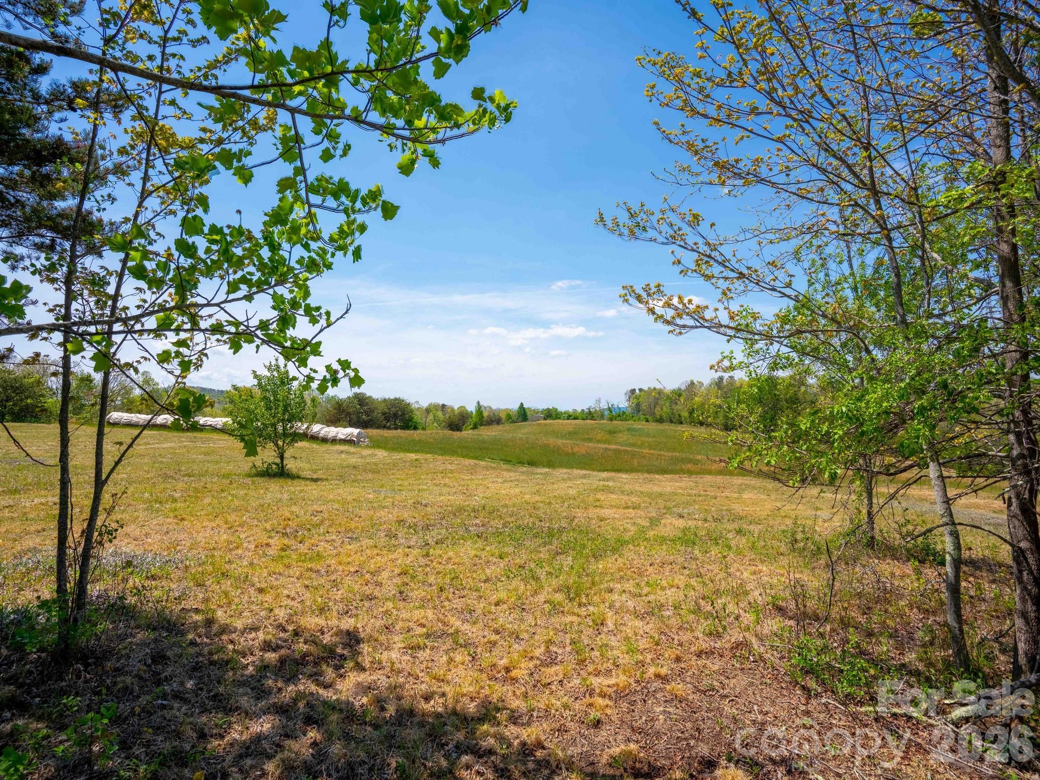 3670 Summer Road Property Photo 7