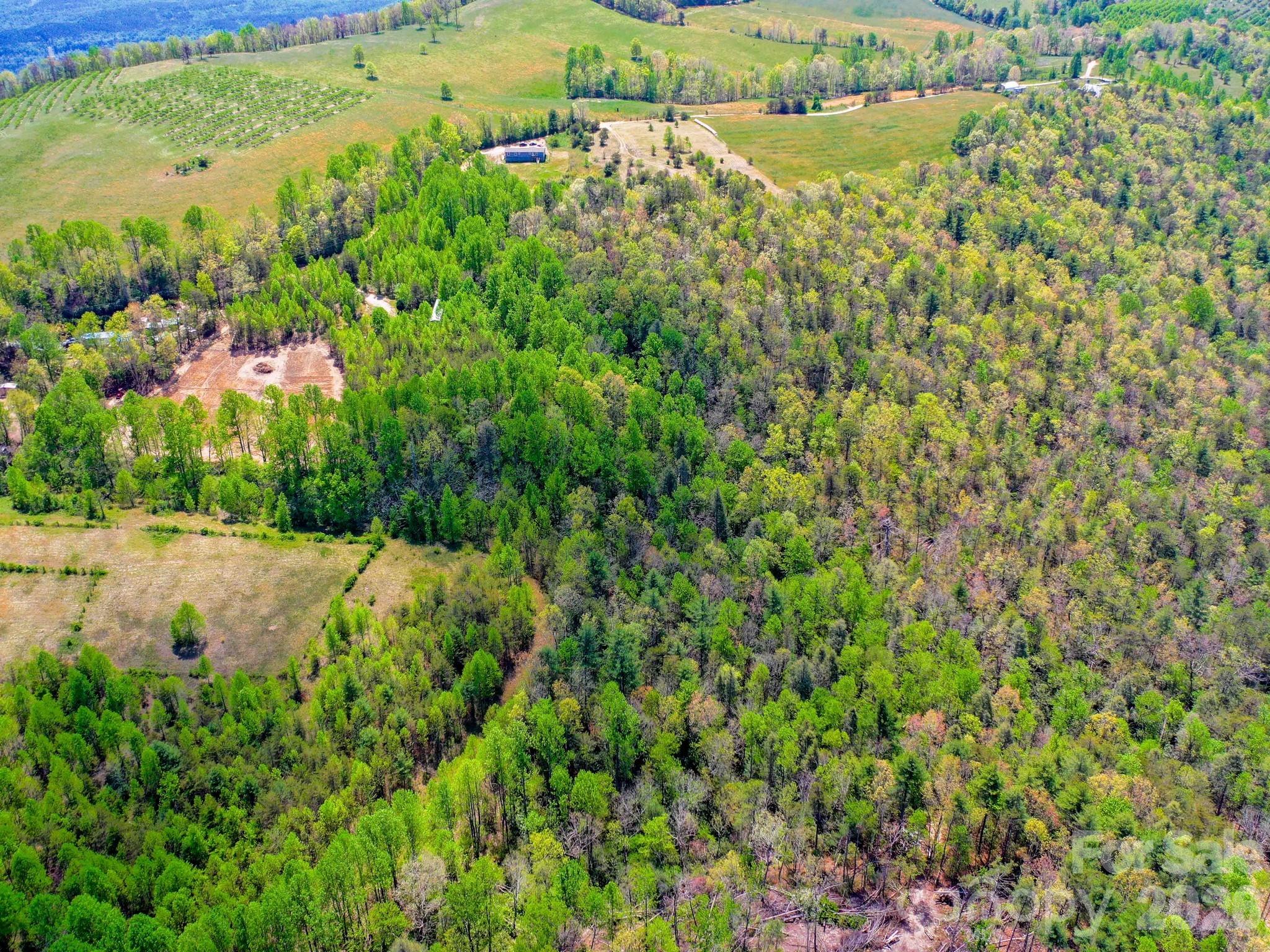3670 Summer Road Property Photo 11