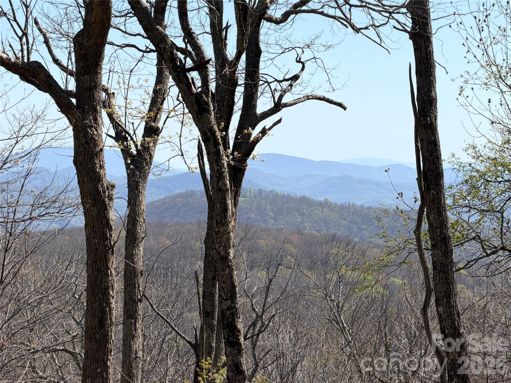 536 Boone Ridge Lane Property Photo 3