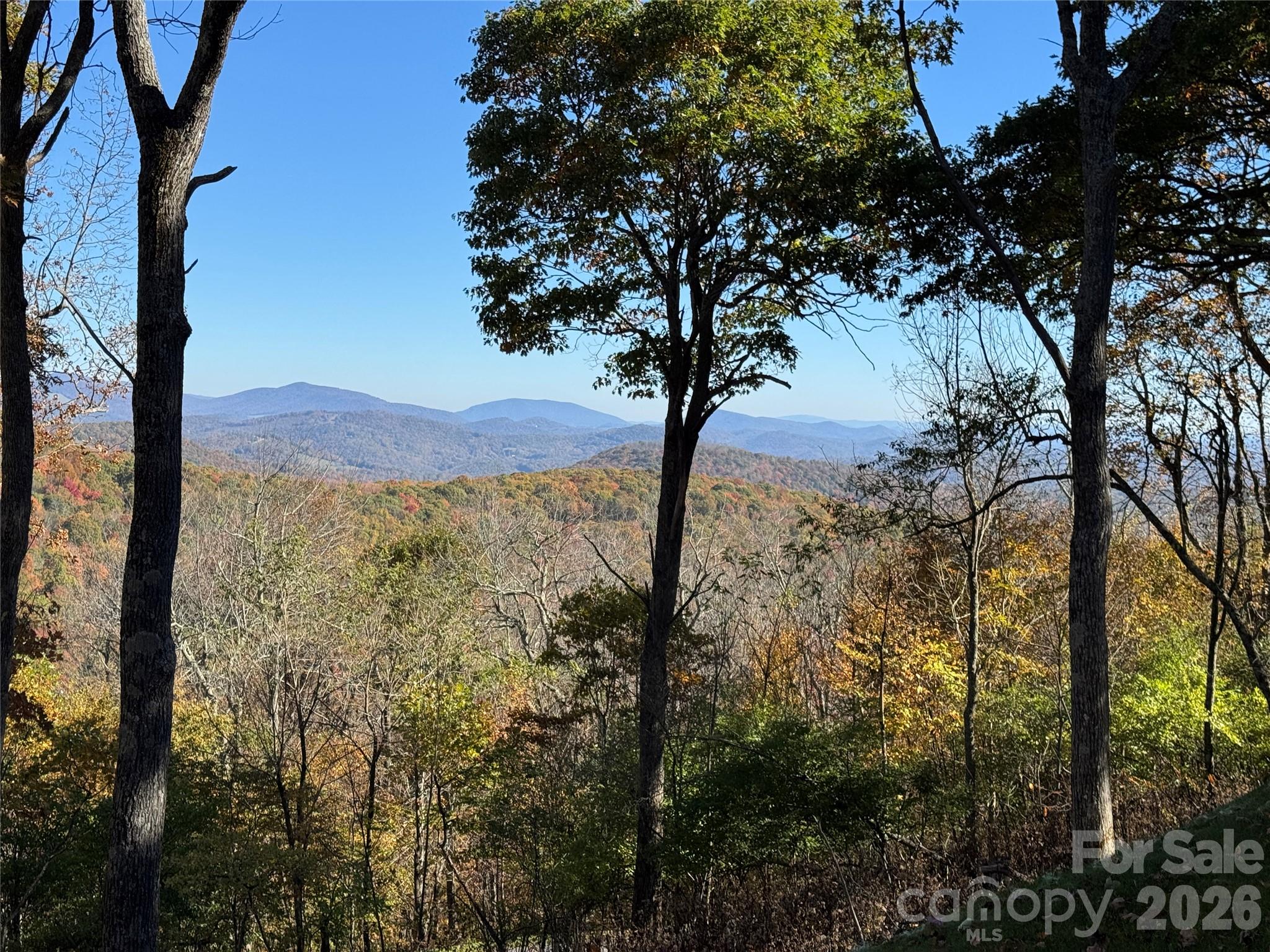 536 Boone Ridge Lane Property Photo 13