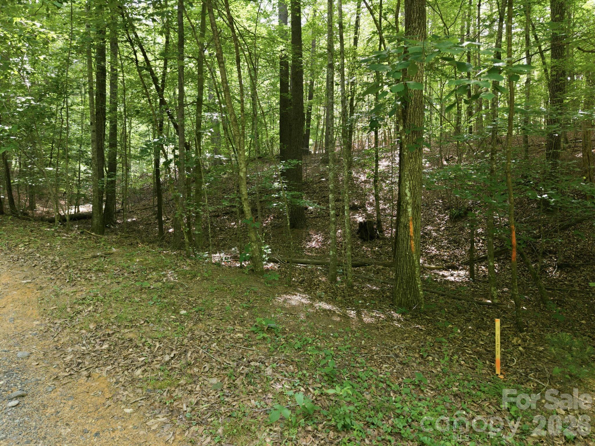 2411 Hundred Acres Lane Property Photo 1