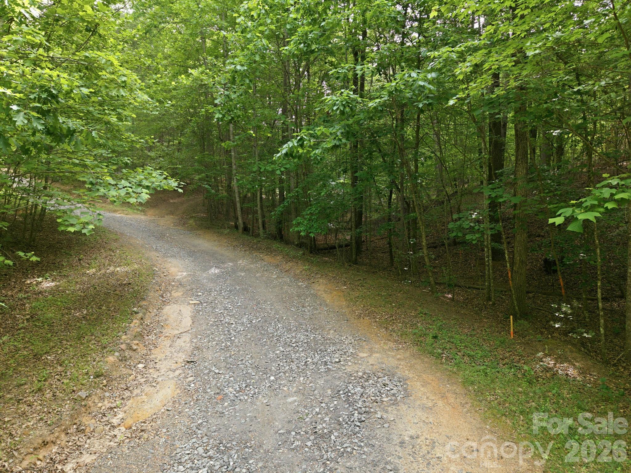 2411 Hundred Acres Lane Property Photo 2