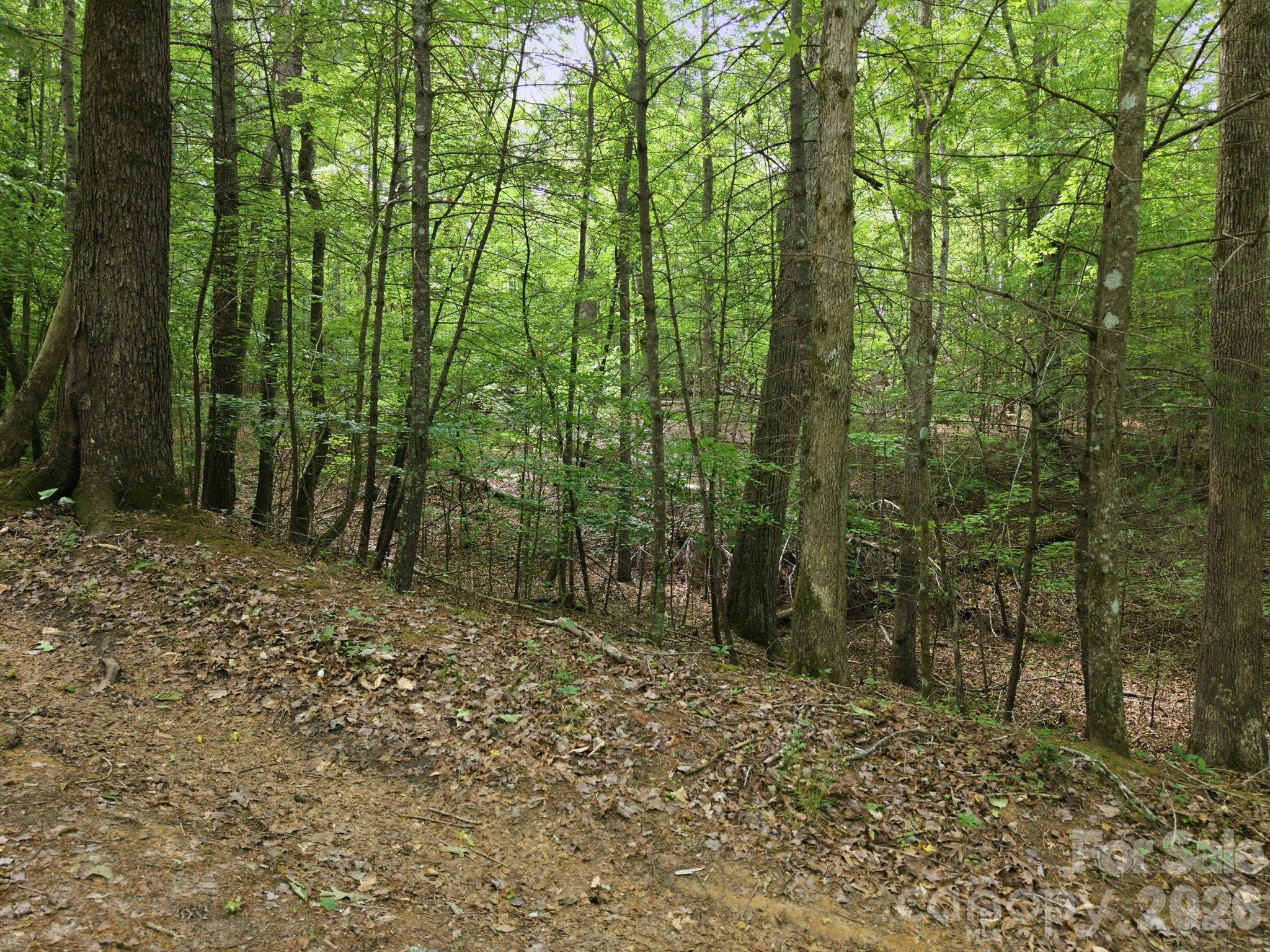 2411 Hundred Acres Lane Property Photo 3