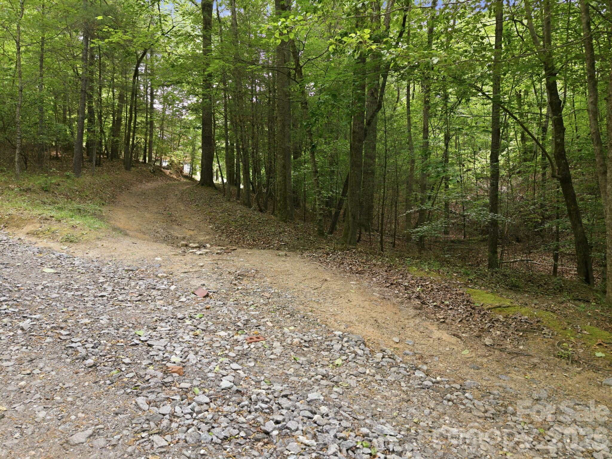 2411 Hundred Acres Lane Property Photo 4