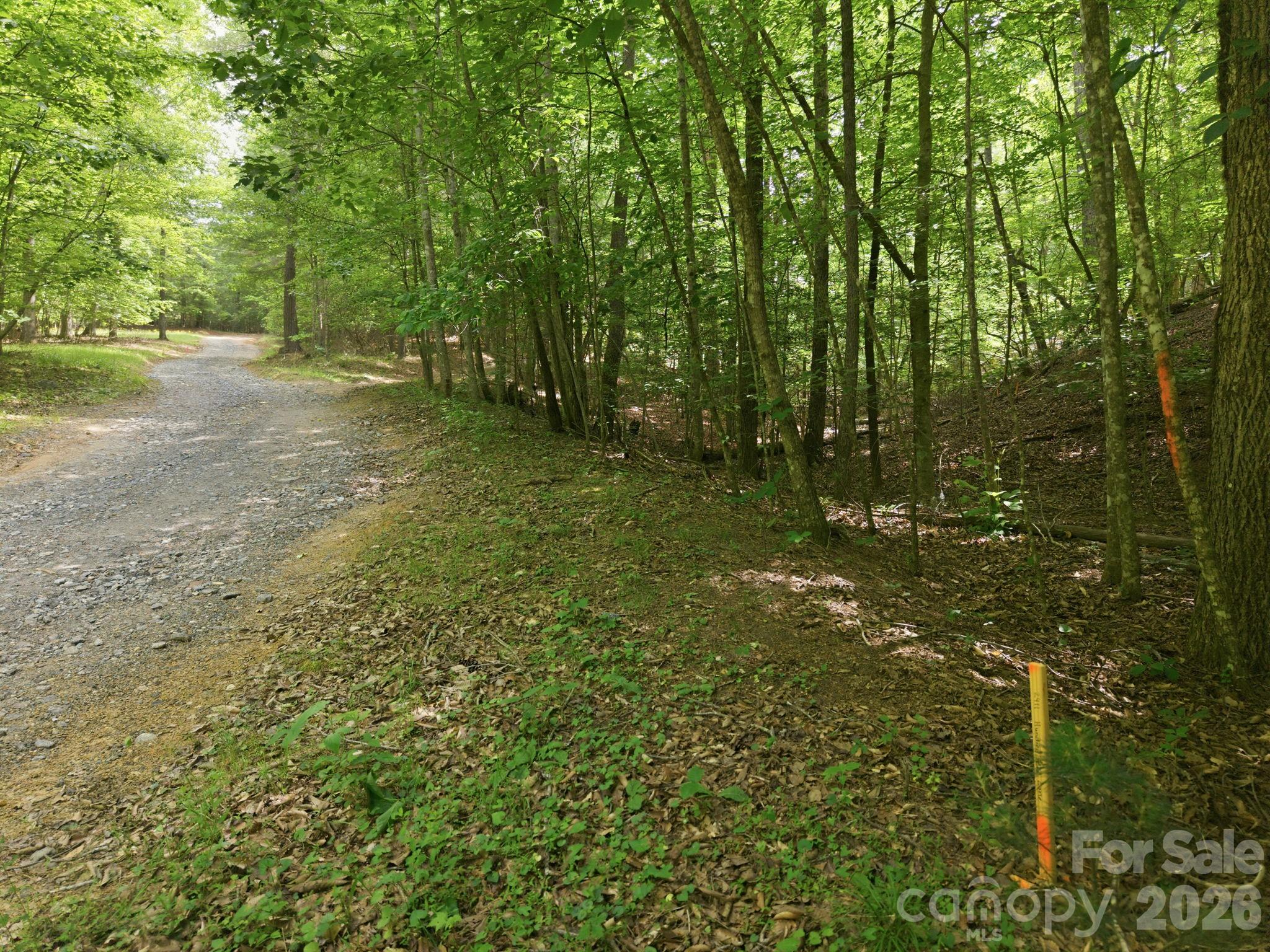 2411 Hundred Acres Lane Property Photo 5