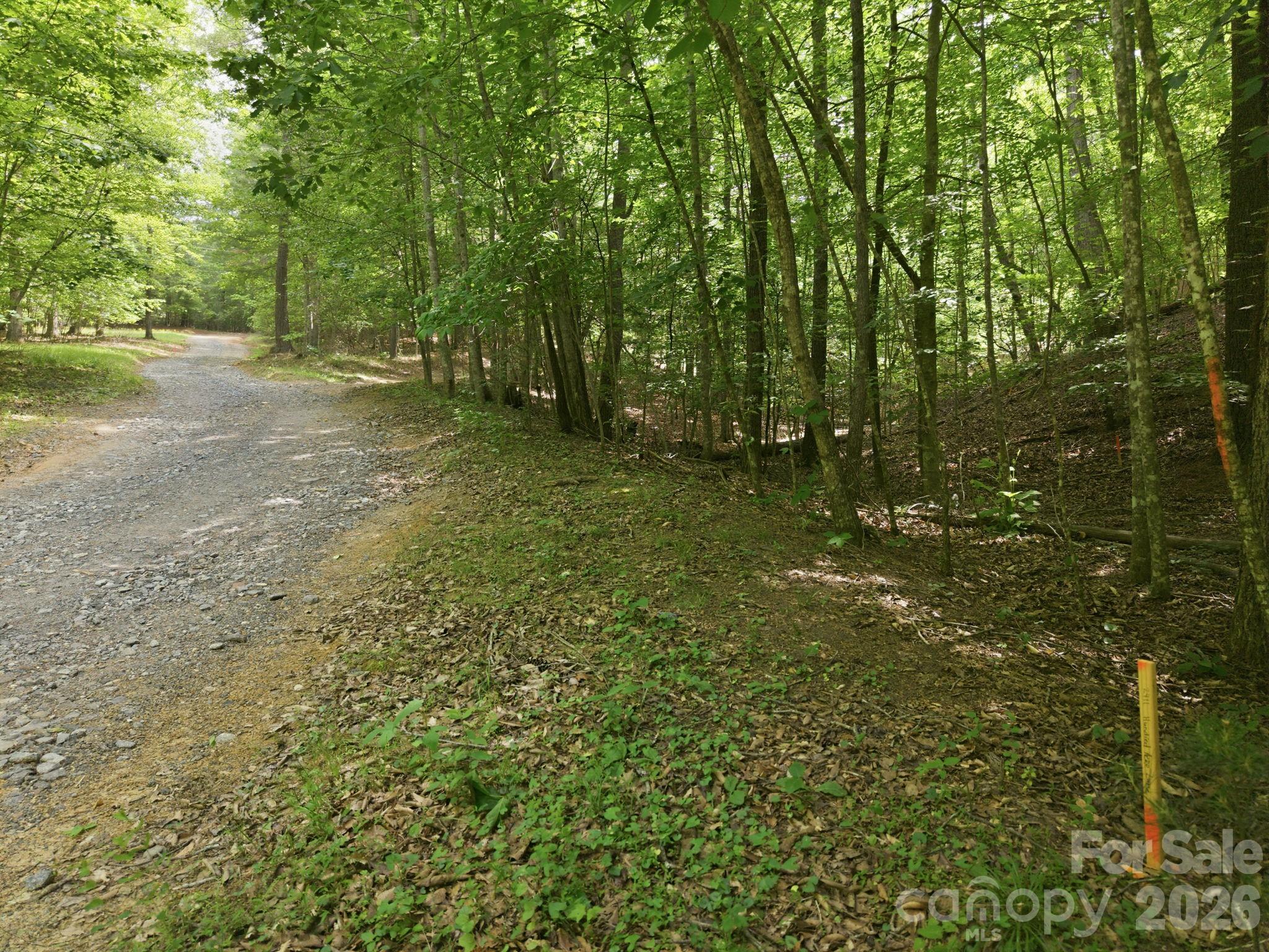2411 Hundred Acres Lane Property Photo 6