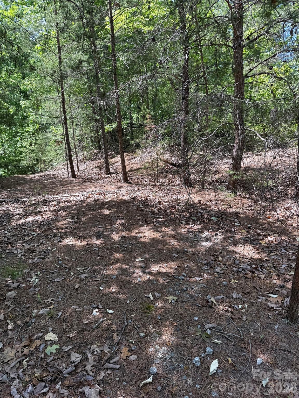 105 Scouts Trail 105 Property Photo 11