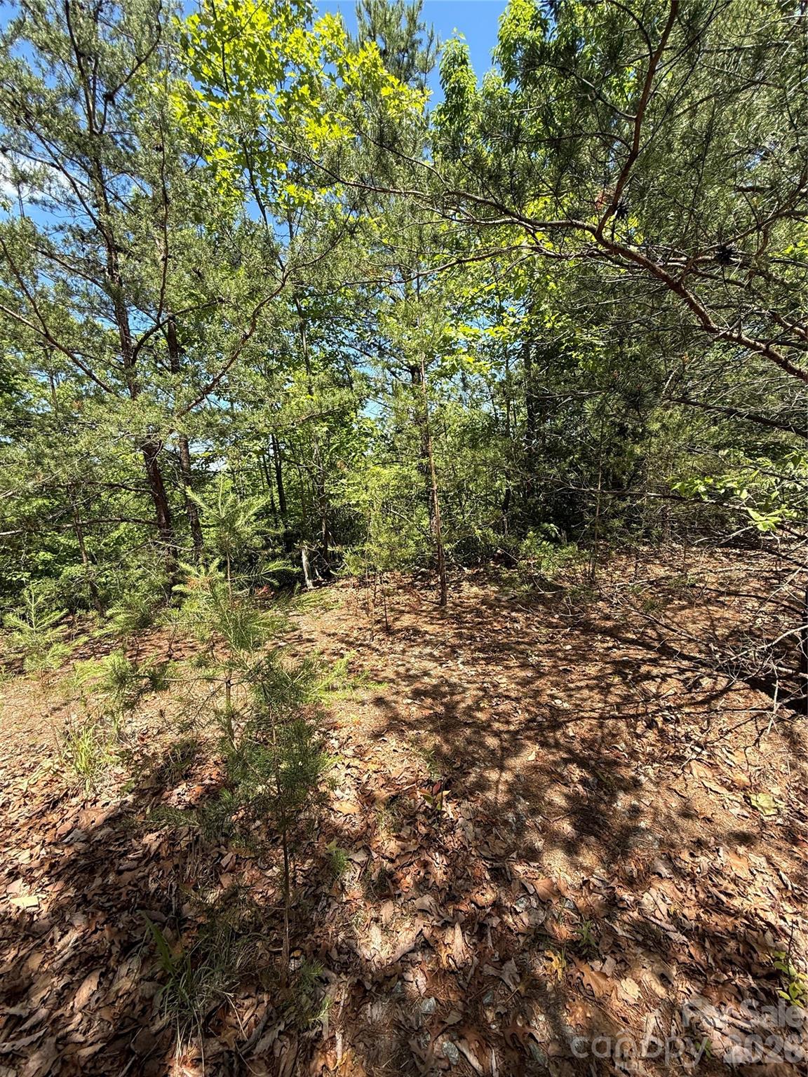 105 Scouts Trail 105 Property Photo 12