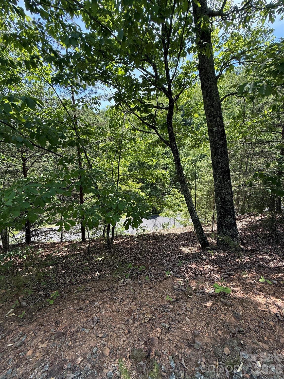 105 Scouts Trail 105 Property Photo 13