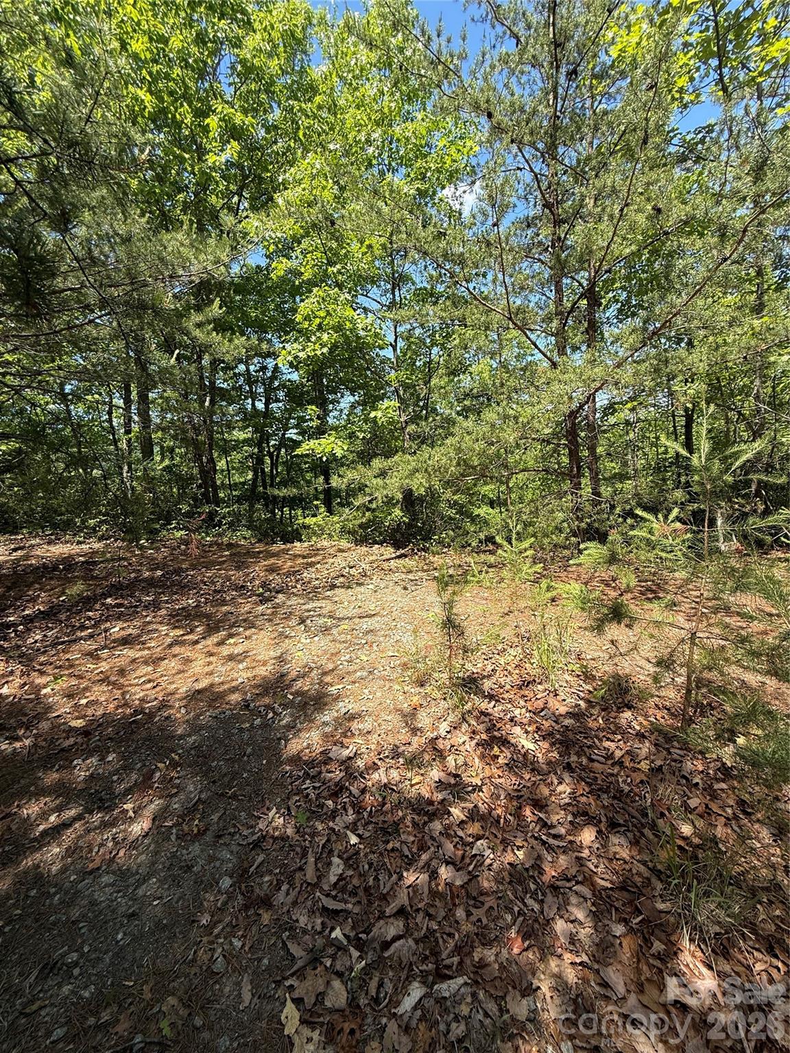 105 Scouts Trail 105 Property Photo 14