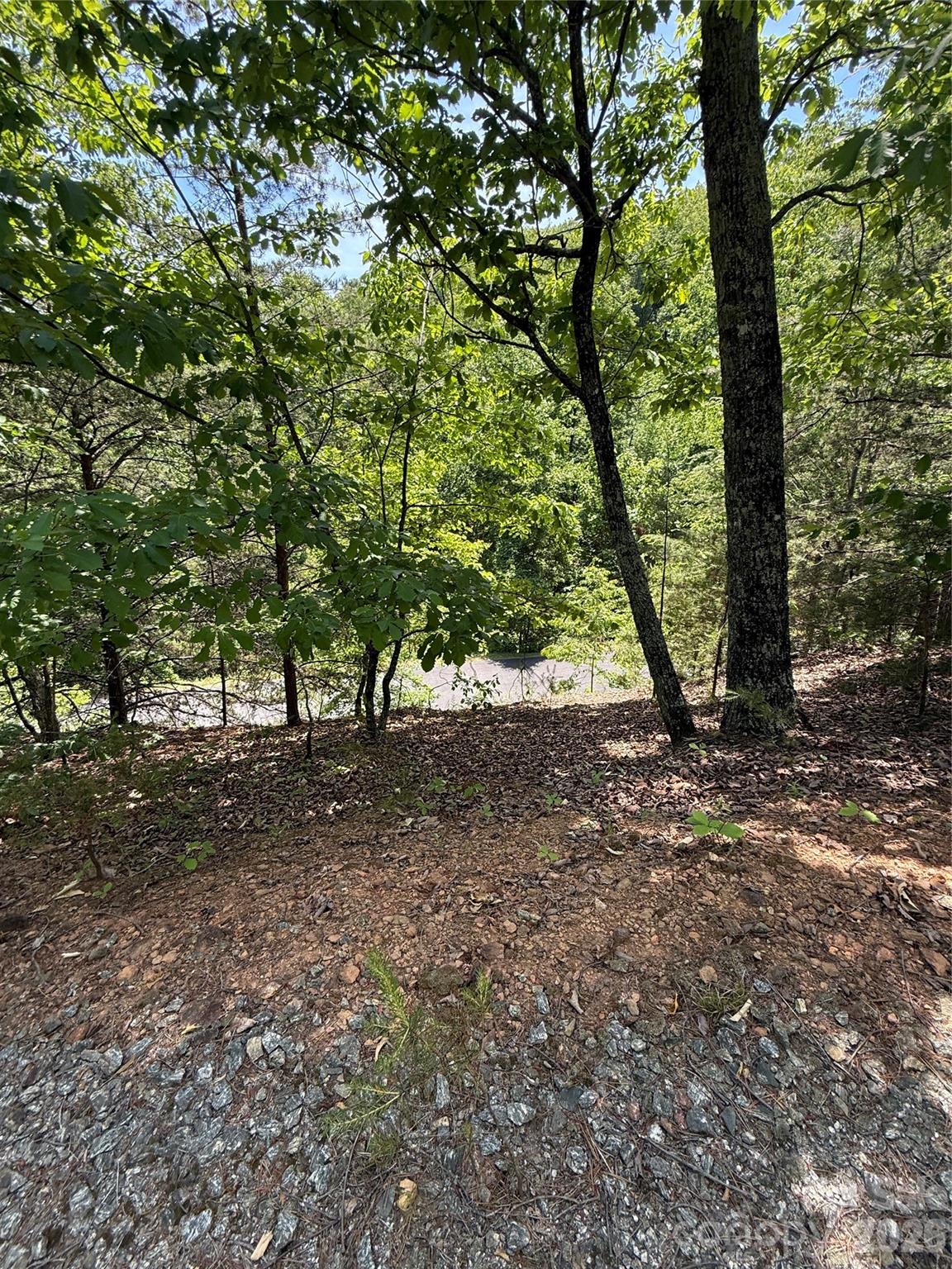 105 Scouts Trail 105 Property Photo 16