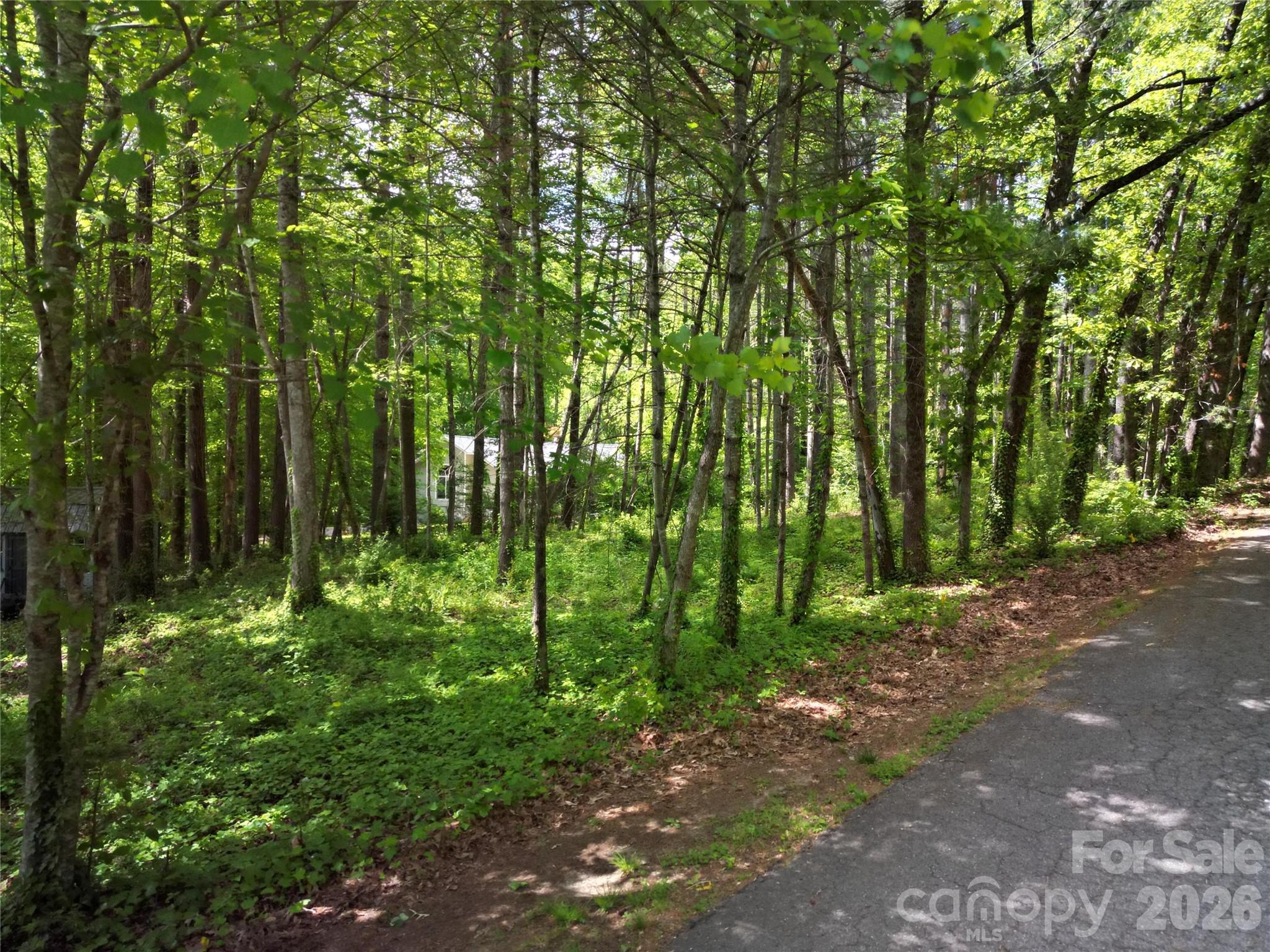 164 Country Lane Property Photo 1