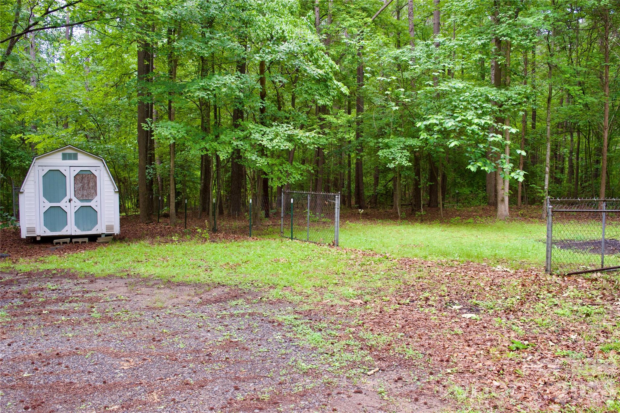 908 Buddys Choice Road Property Photo 3