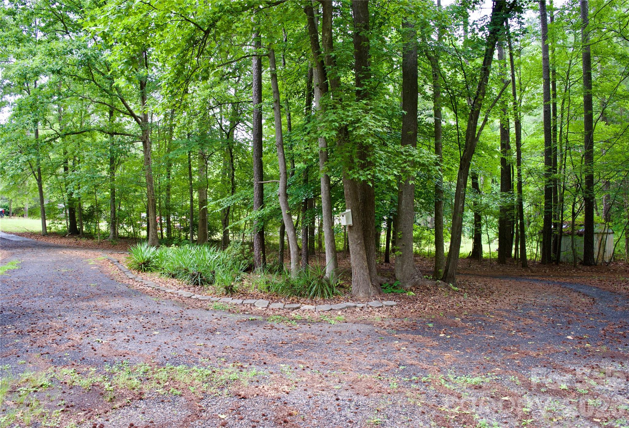 908 Buddys Choice Road Property Photo 10