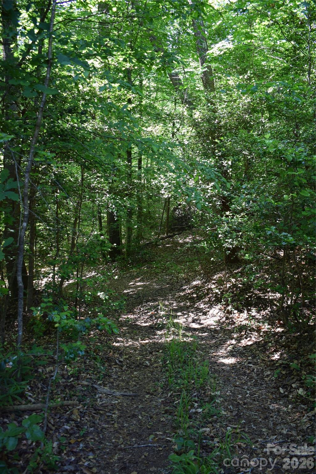 0 Floyd Blackwell Road Property Photo 2