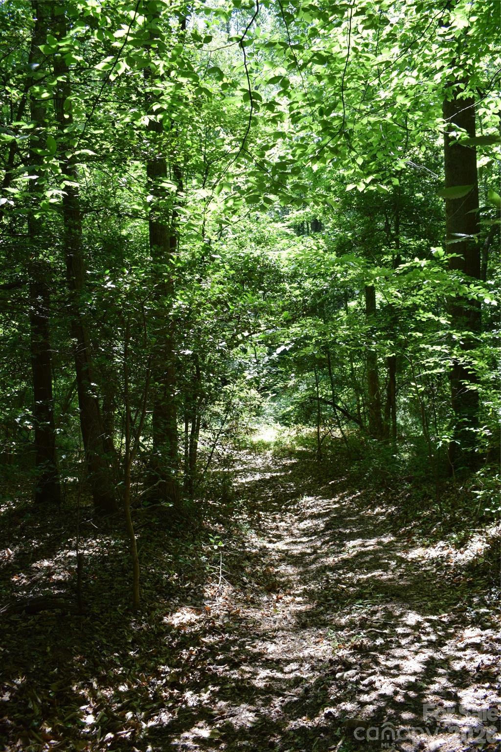 0 Floyd Blackwell Road Property Photo 3