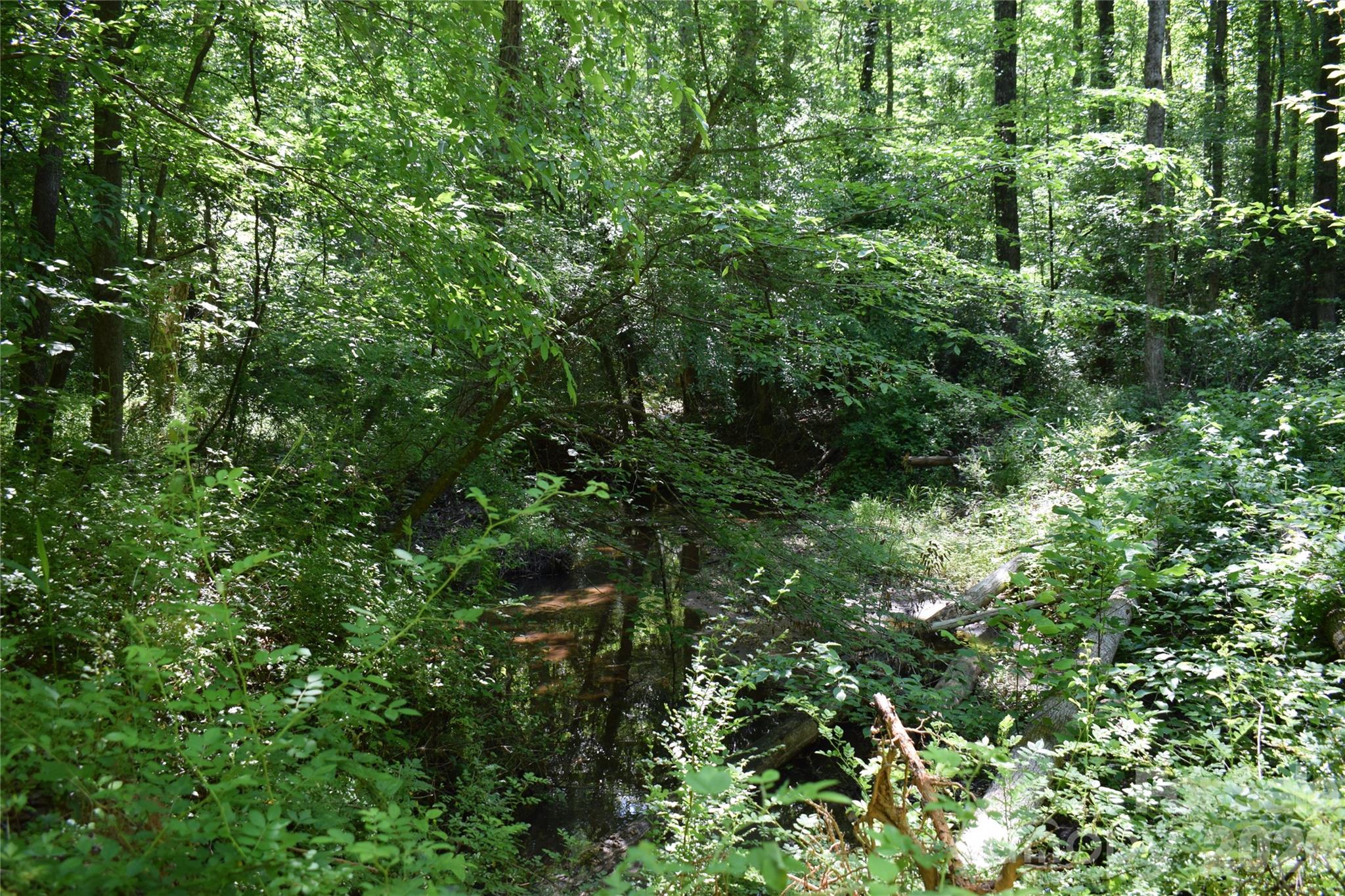 0 Floyd Blackwell Road Property Photo 4