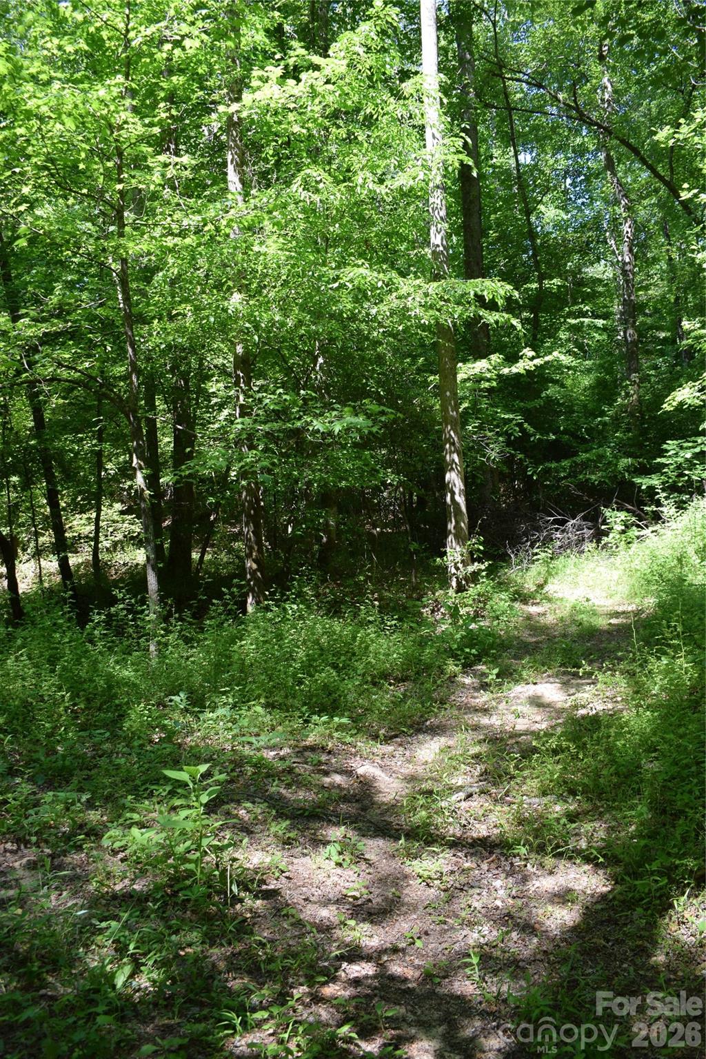 0 Floyd Blackwell Road Property Photo 6