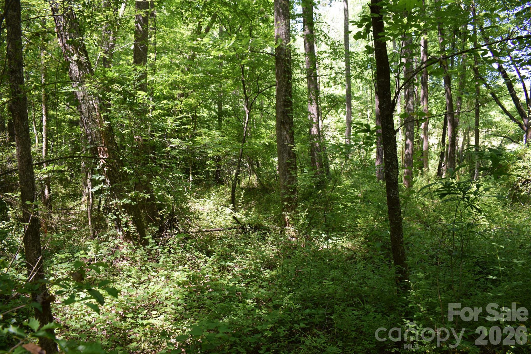 0 Floyd Blackwell Road Property Photo 11