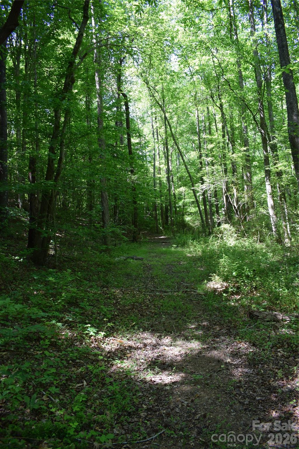 0 Floyd Blackwell Road Property Photo 14