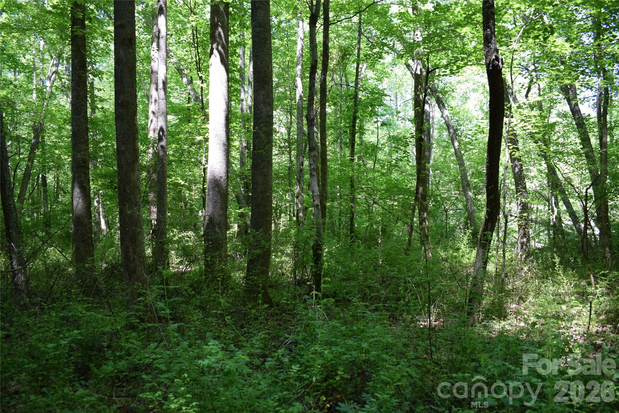 0 Floyd Blackwell Road Property Photo 15