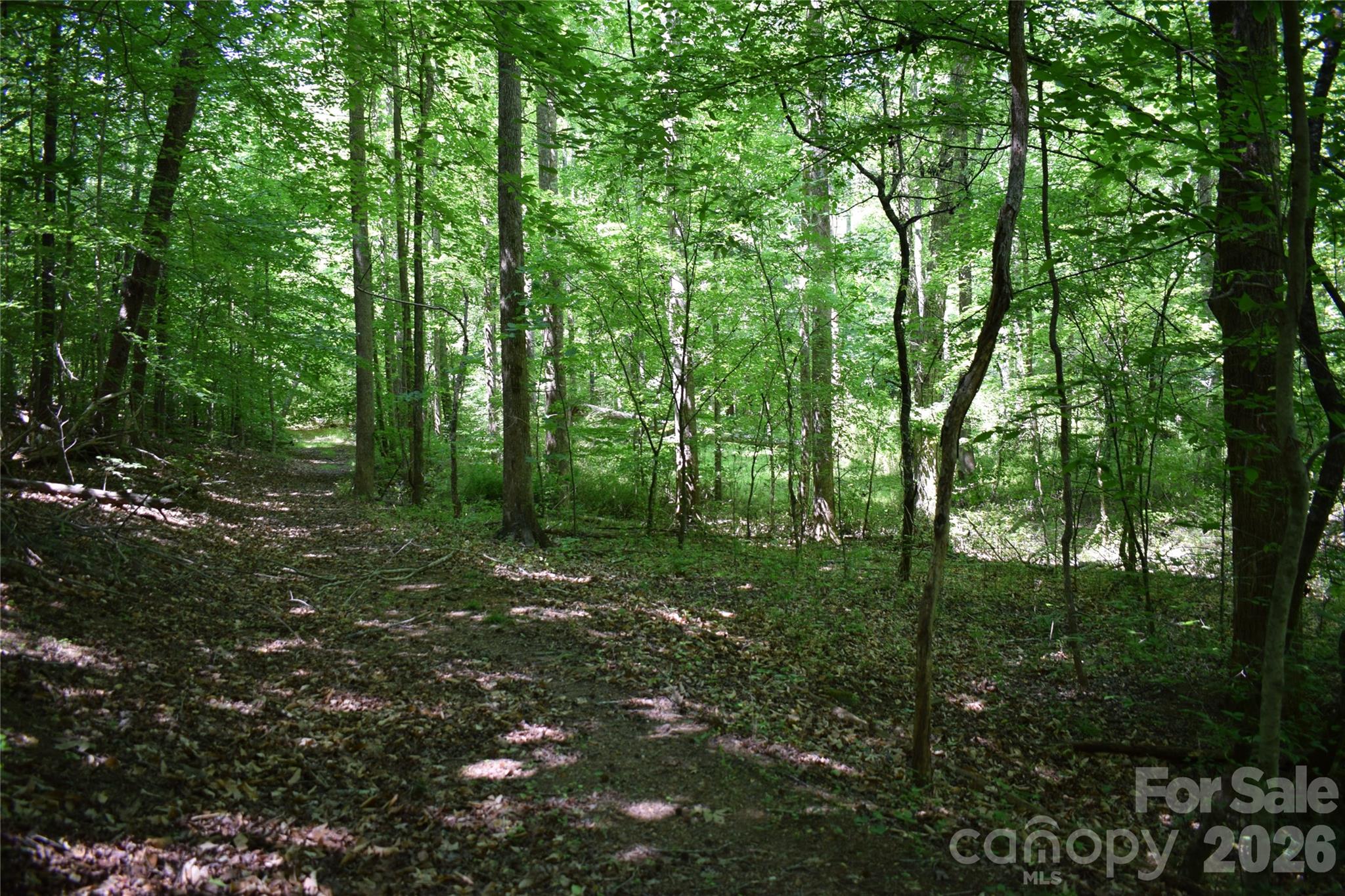 0 Floyd Blackwell Road Property Photo 16