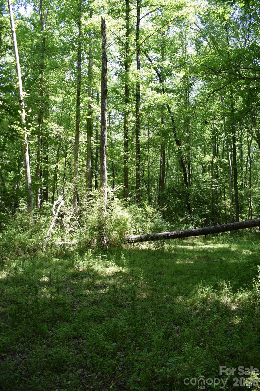0 Floyd Blackwell Road Property Photo 17