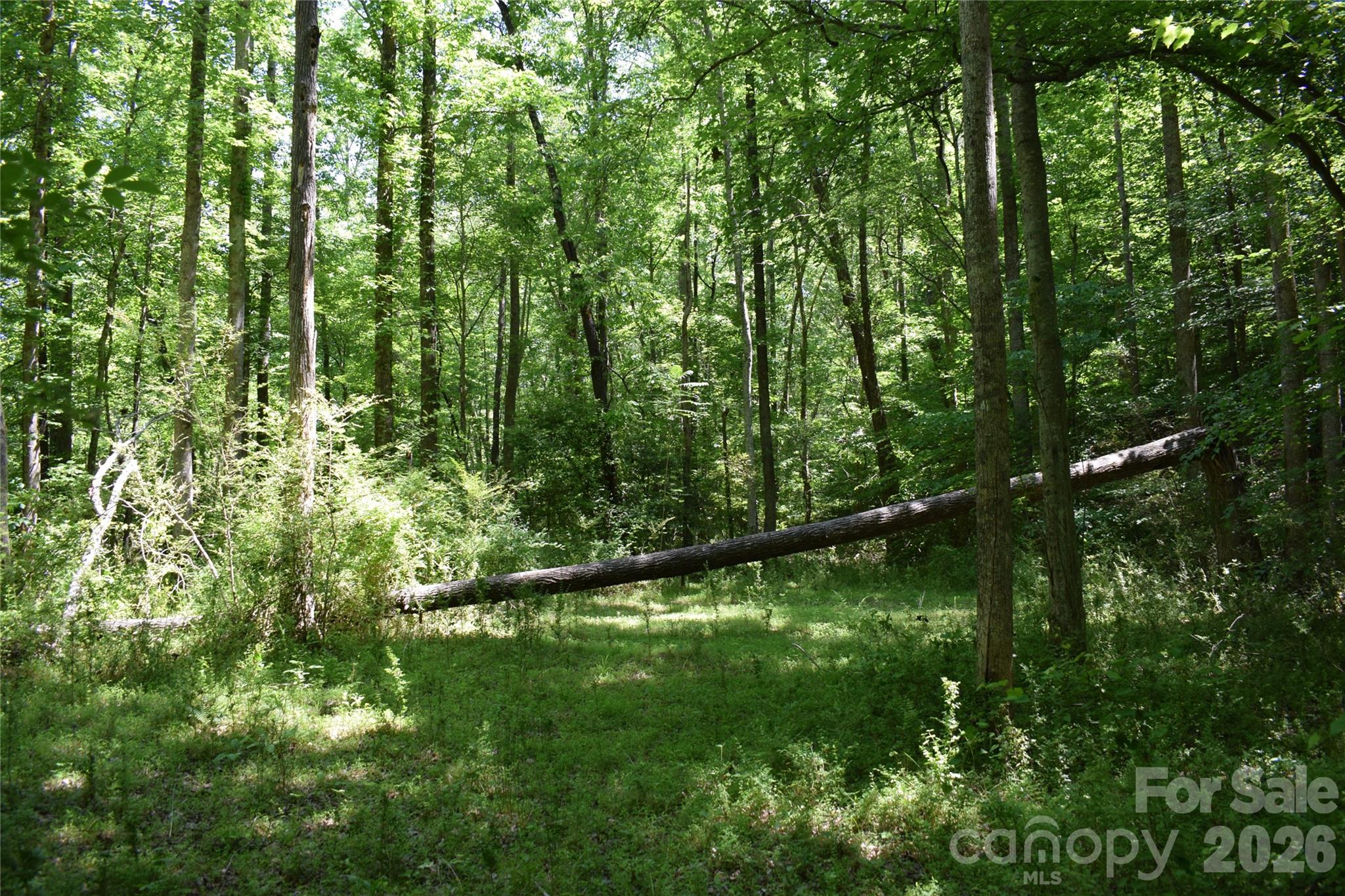 0 Floyd Blackwell Road Property Photo 18